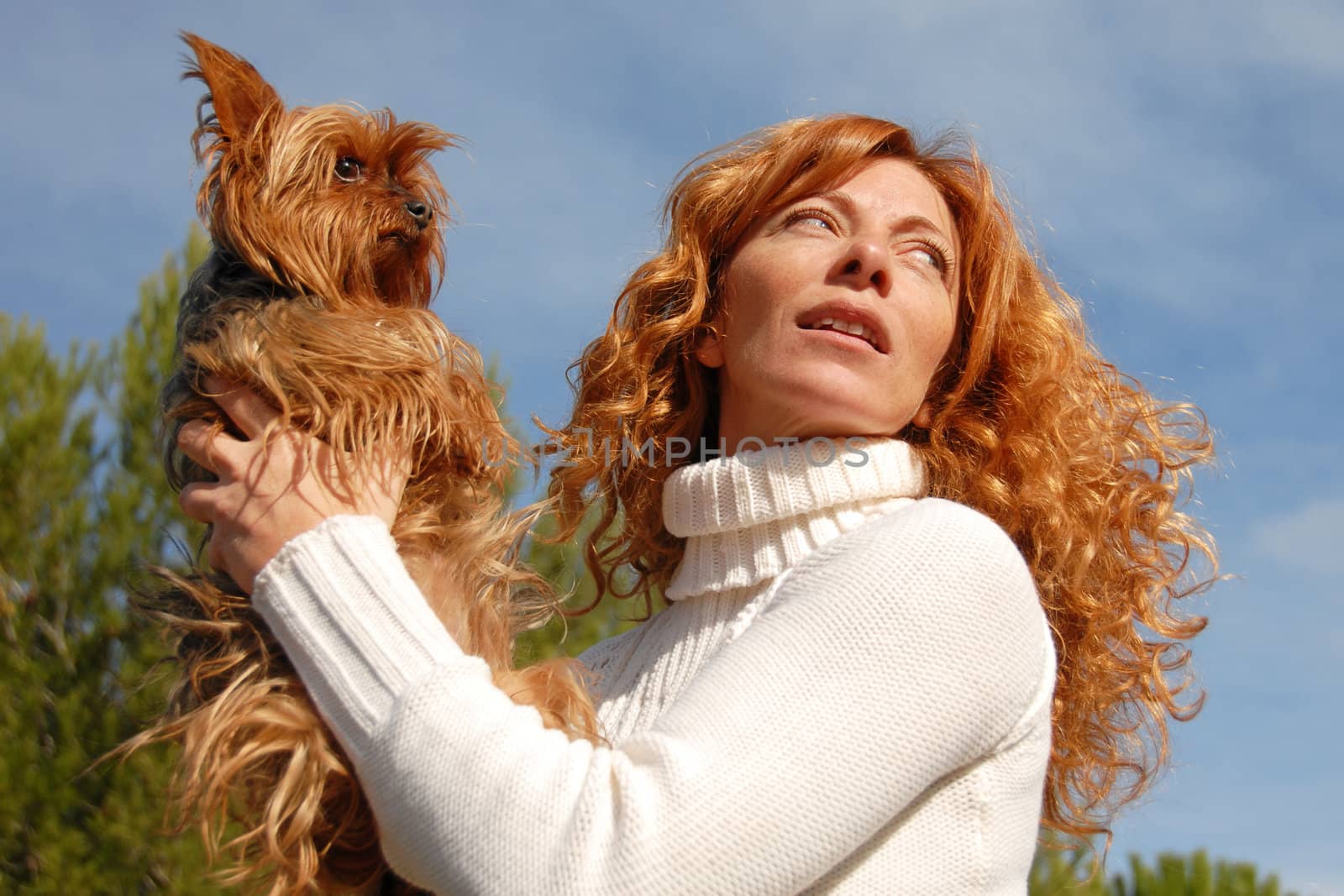 woman with red hair and her purebred yorkshire terrier