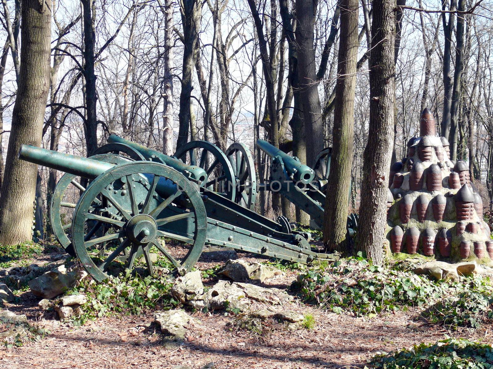 Cannons in Skobelev Park, Pleven, Bulgaria by Stoyanov
