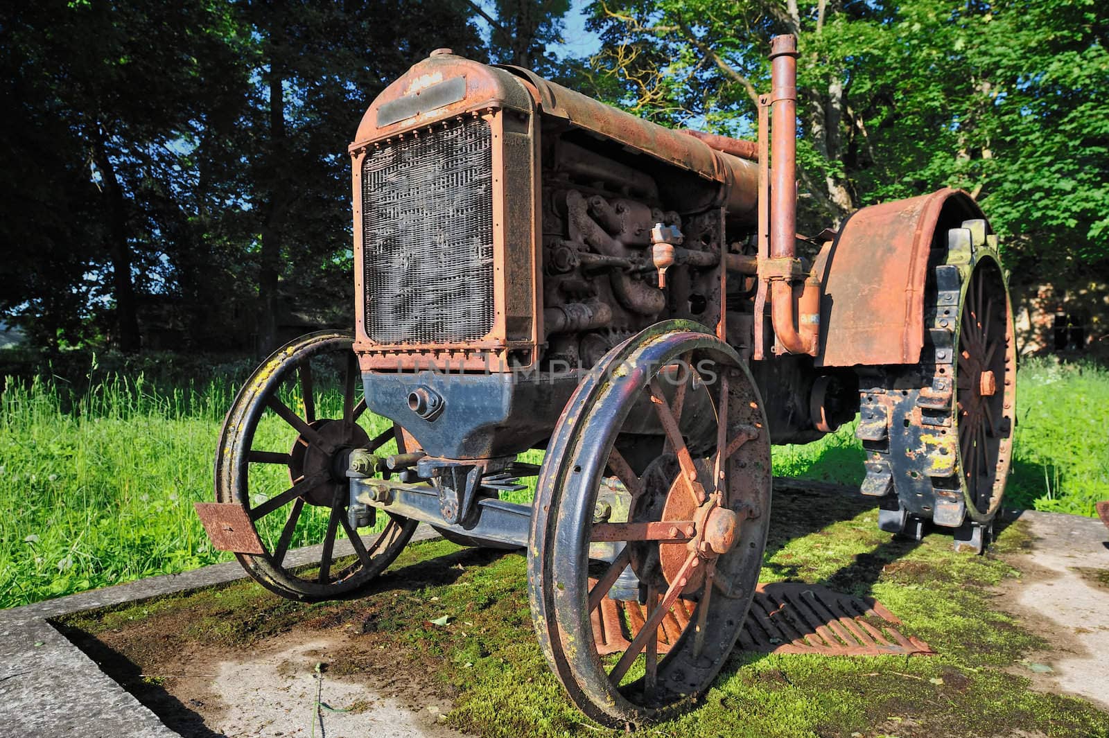 Old rusty small tractor in rural grove