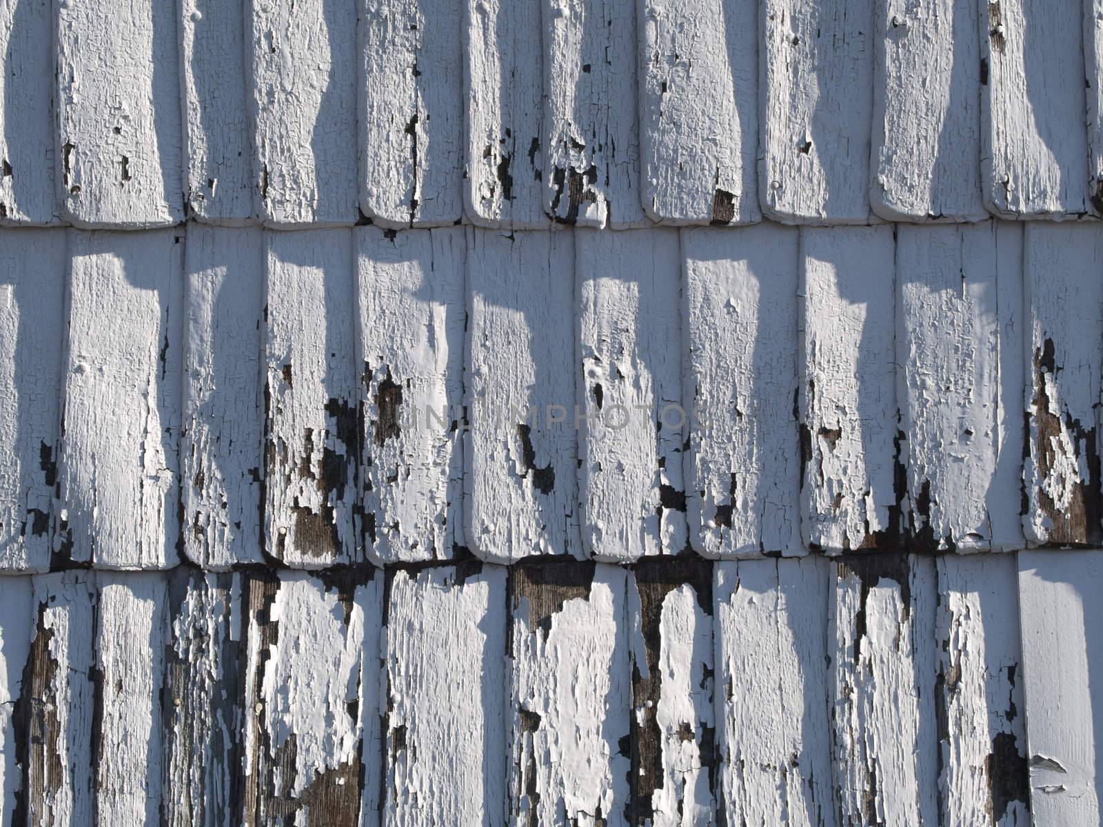 A shingle texture