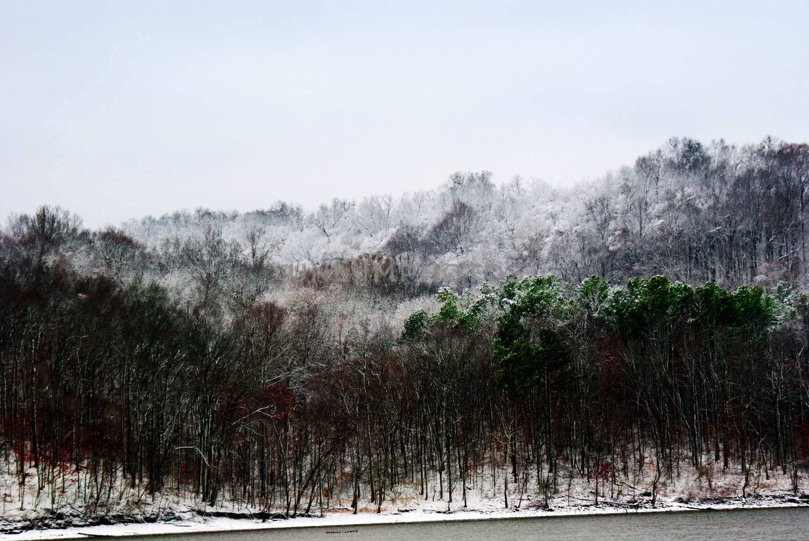 Kentucky lake winter