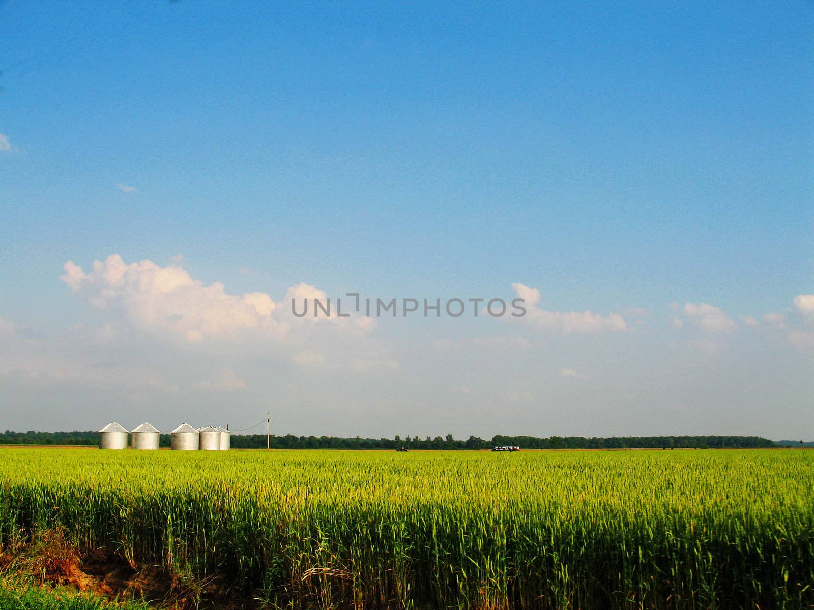 Tennessee Farmland by sfisher16