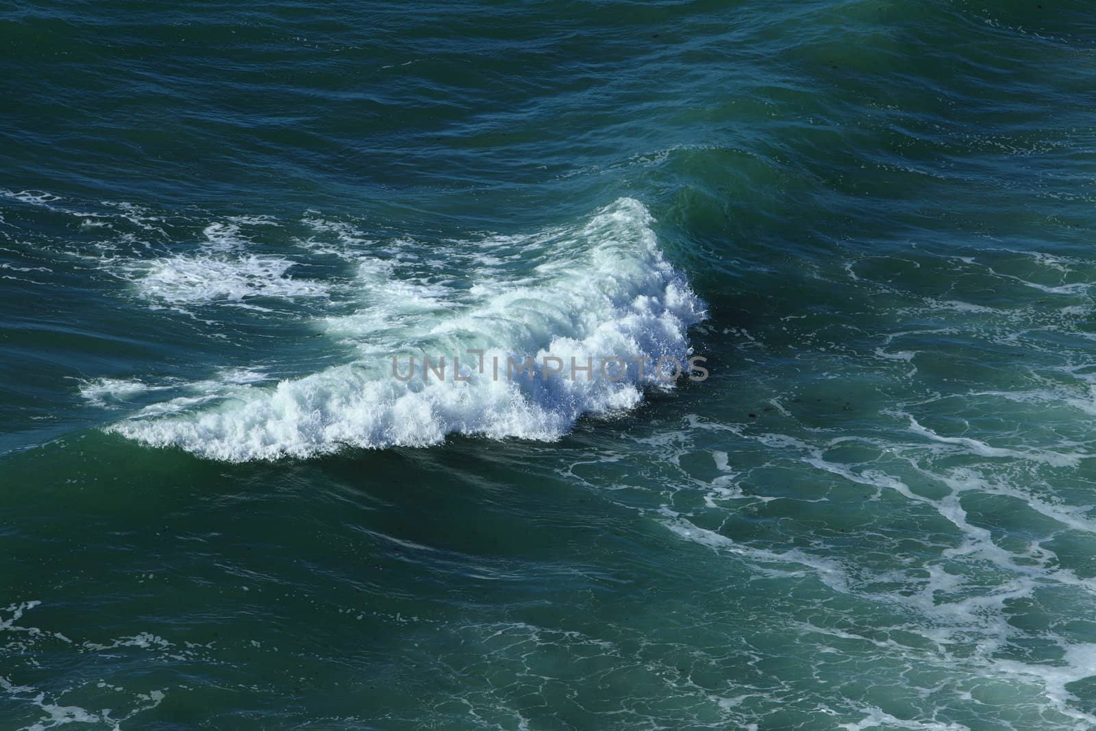 Aerial view of an incipient wave in an ocean.