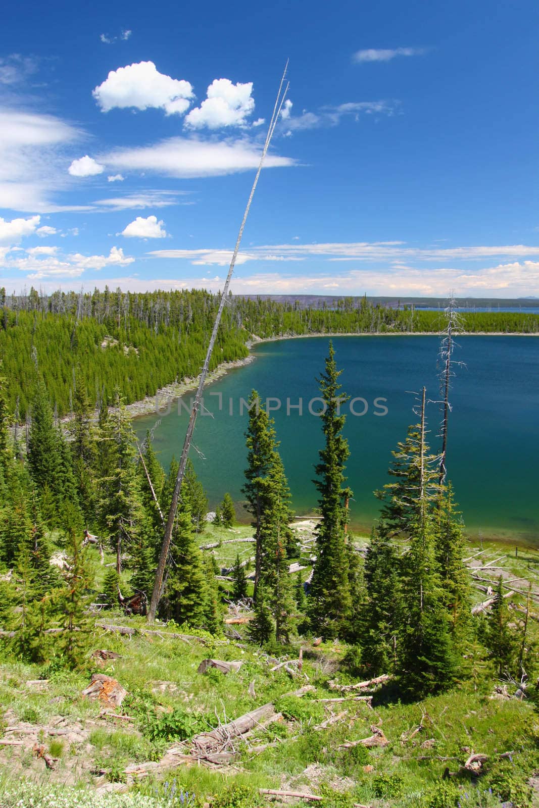 Duck Lake in Yellowstone by Wirepec