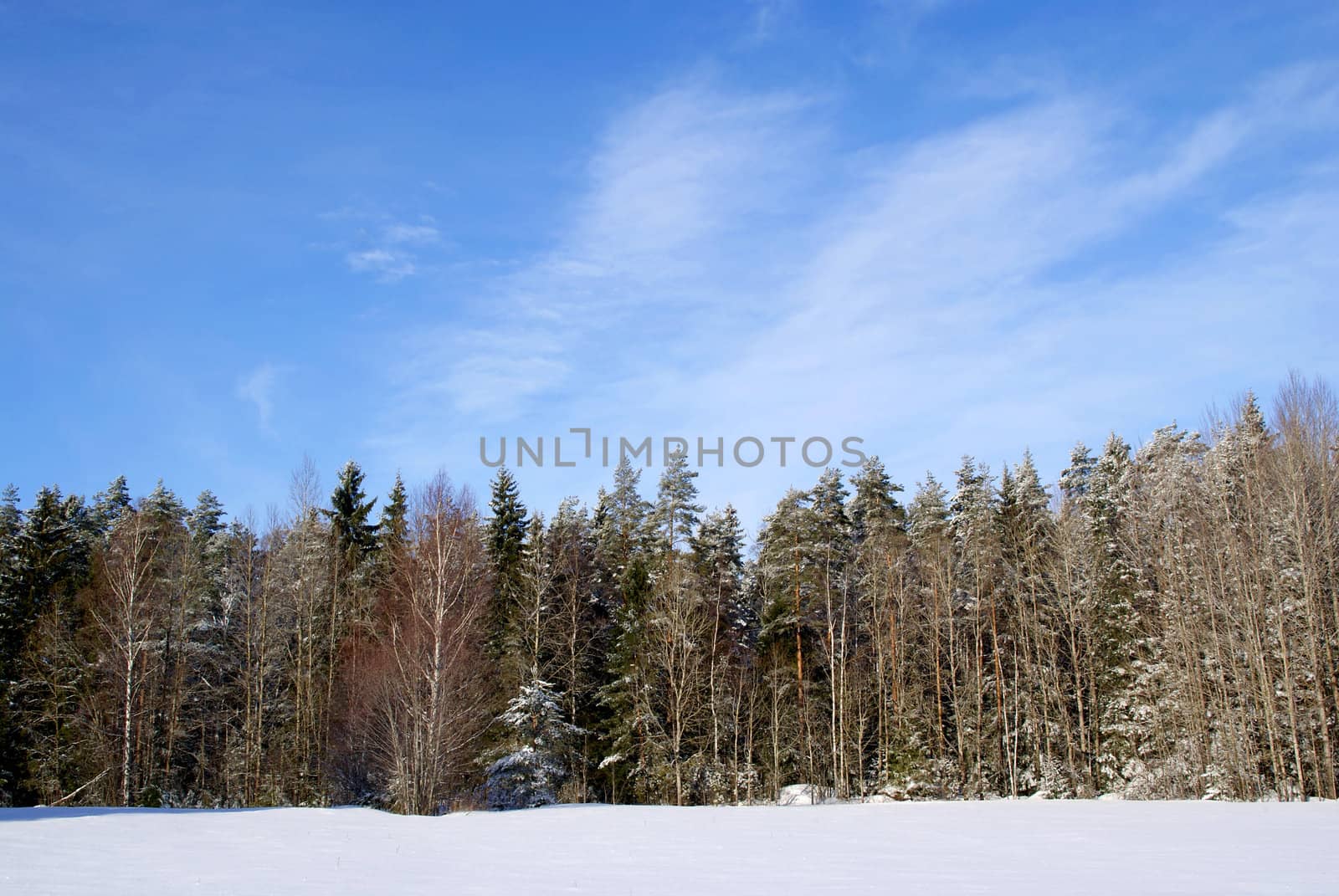 A landscape with blue sky, forest and field with winter snow. Suitable for backgrounds, space for text. Photographed in Finland, February 2011.