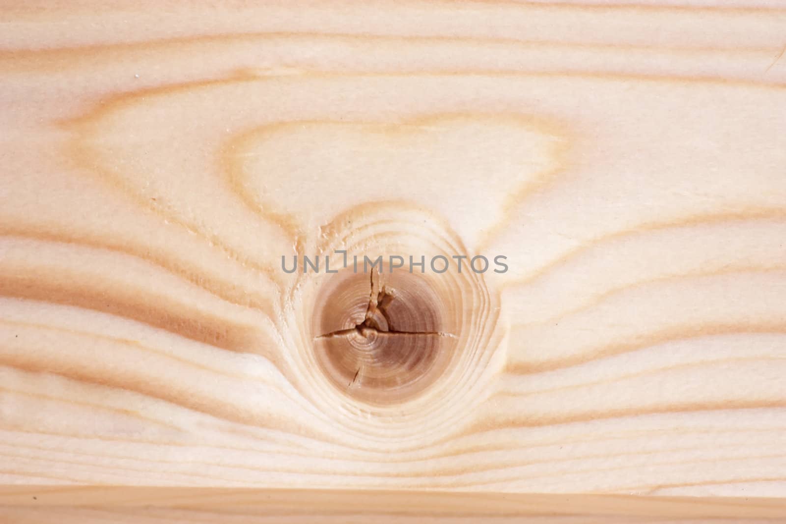 Macro view of wood knot