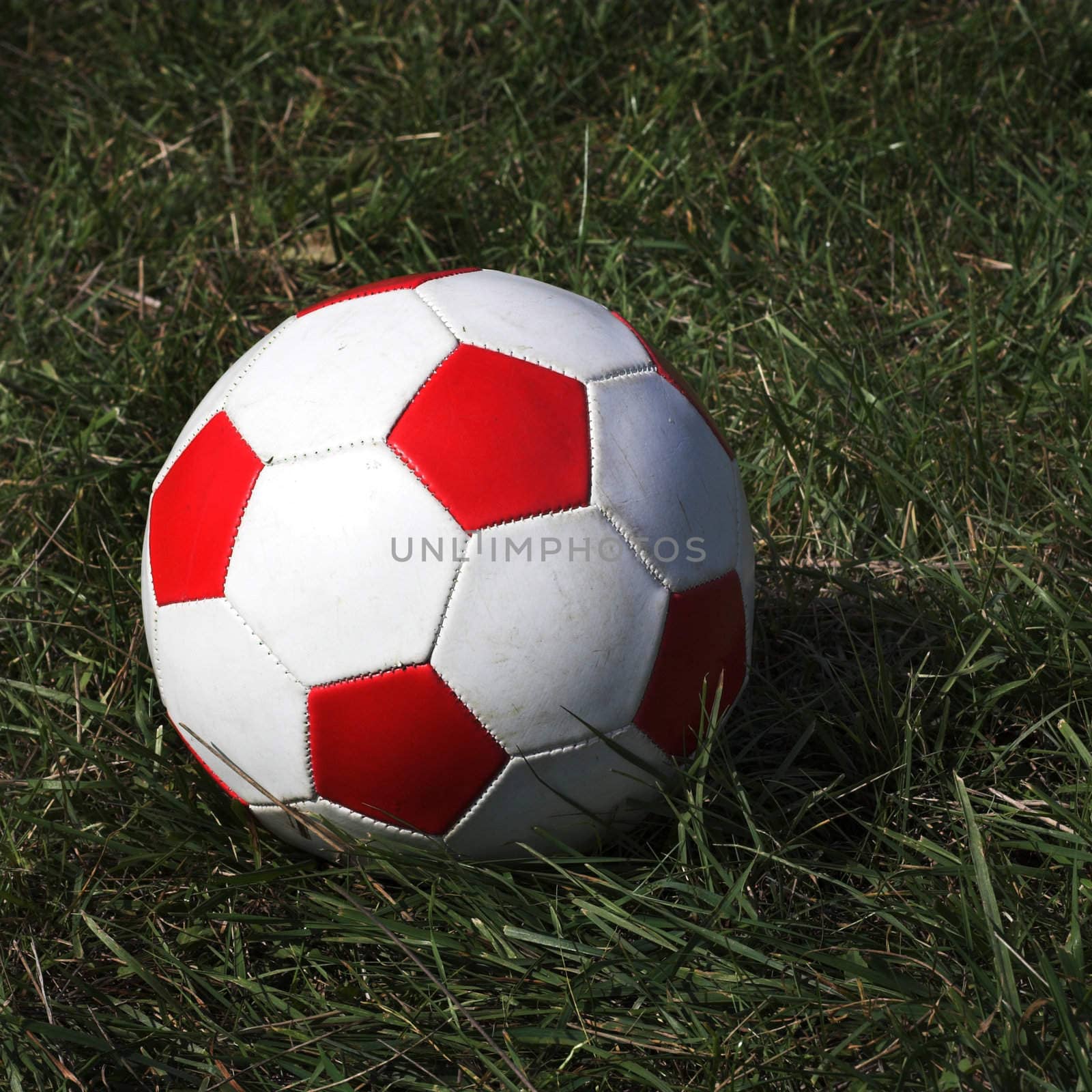 Soccer ball on the grass