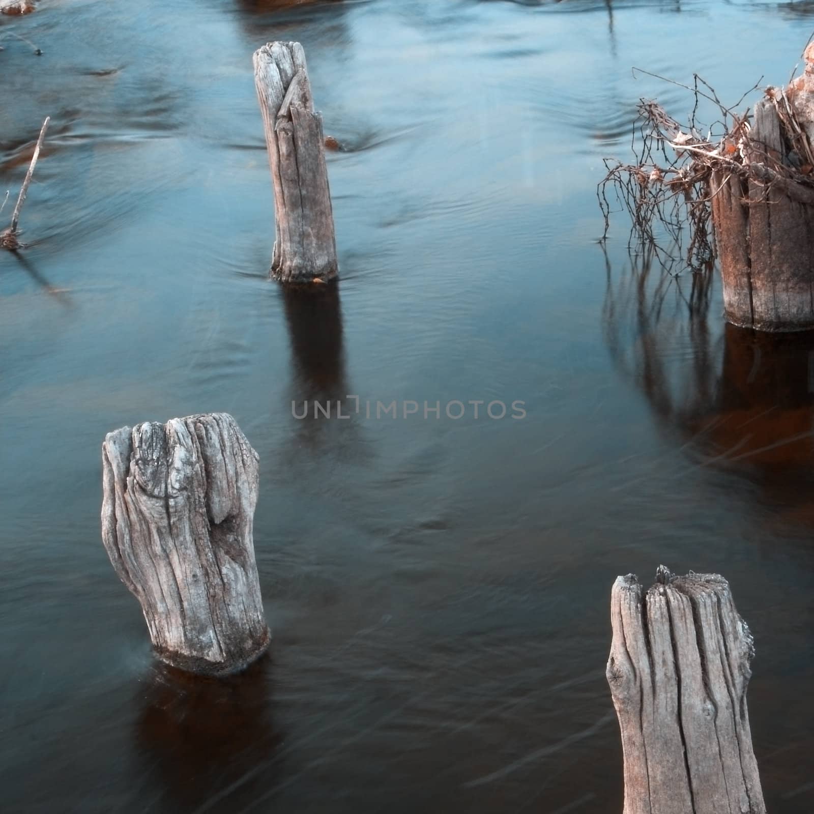 ruin of anwooden river dock