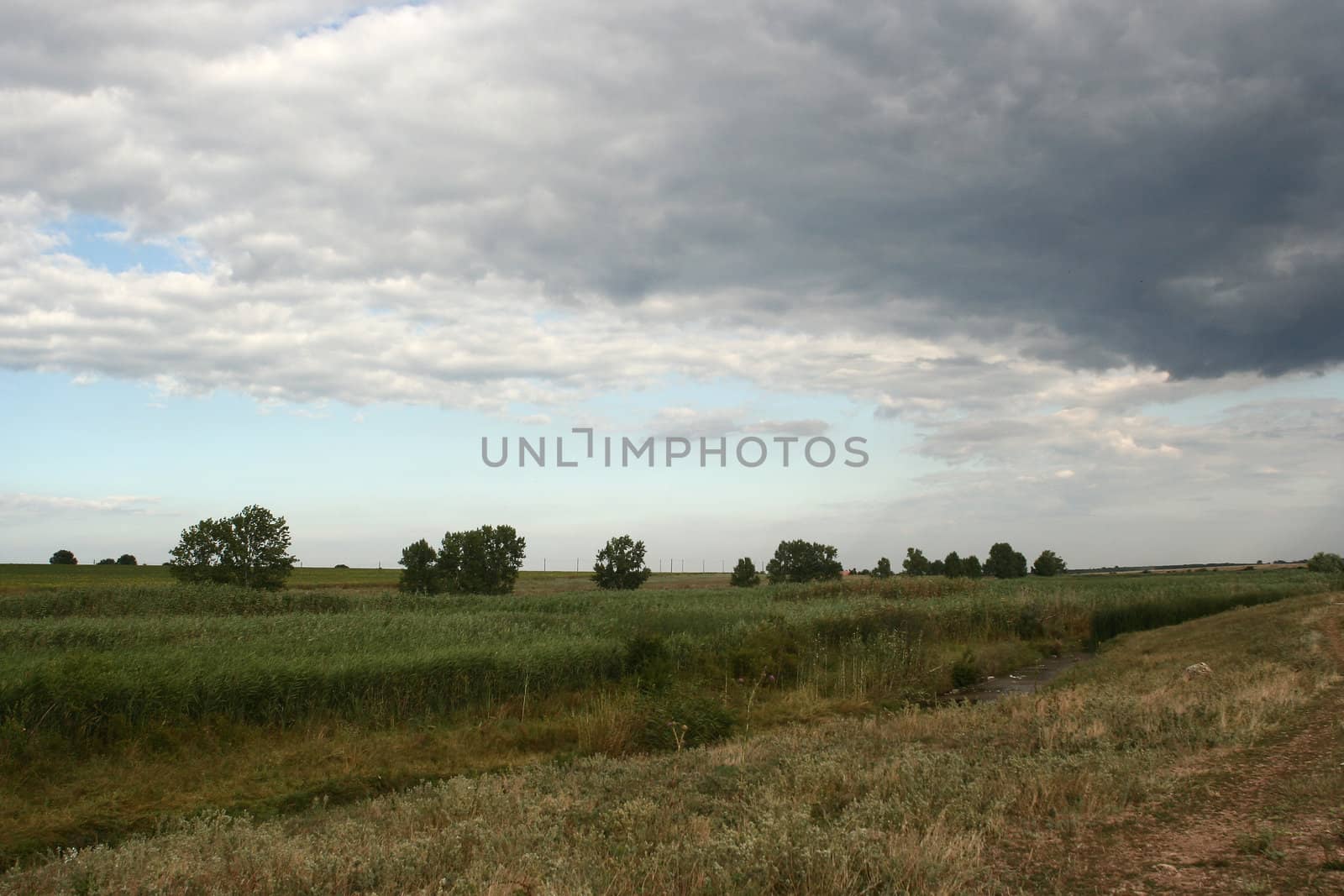 cloudy field by alexkosev