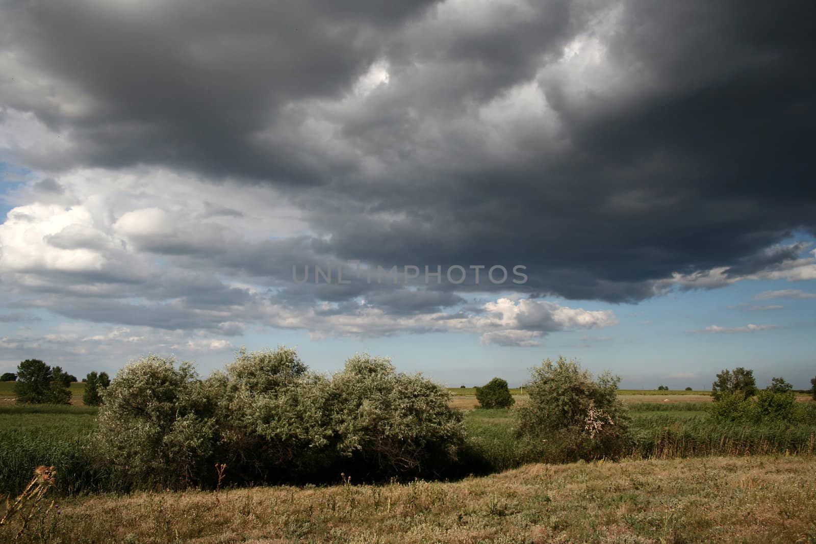 cloudy field by alexkosev