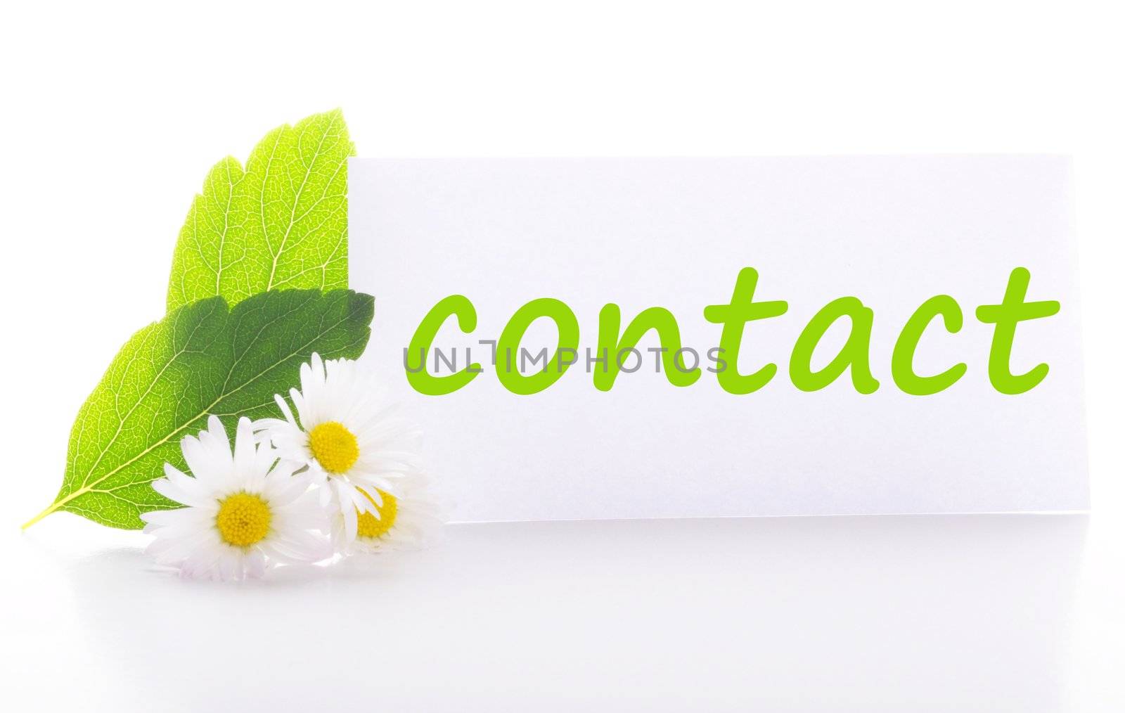 contact us concept with word on nature still life