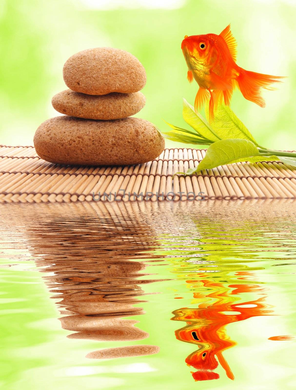 zen or spa concept with stones goldfish and water reflection