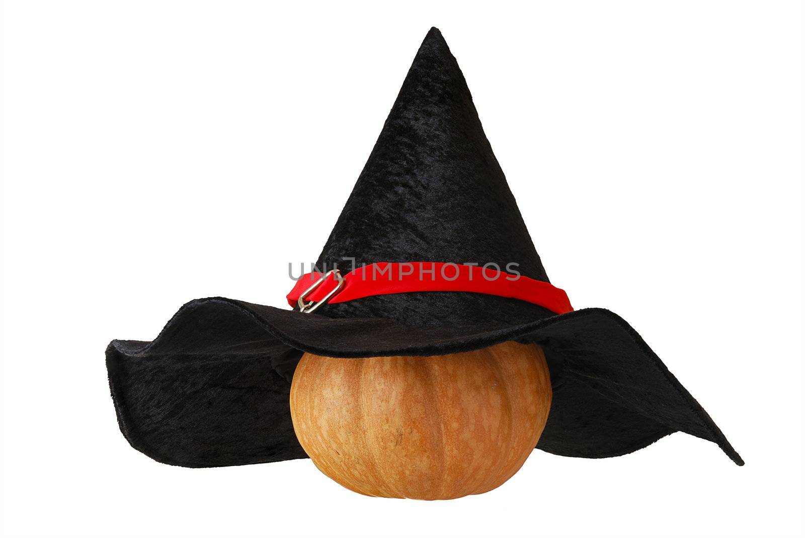 Small Halloween orange pumpkin in black witch hat isolated on white background