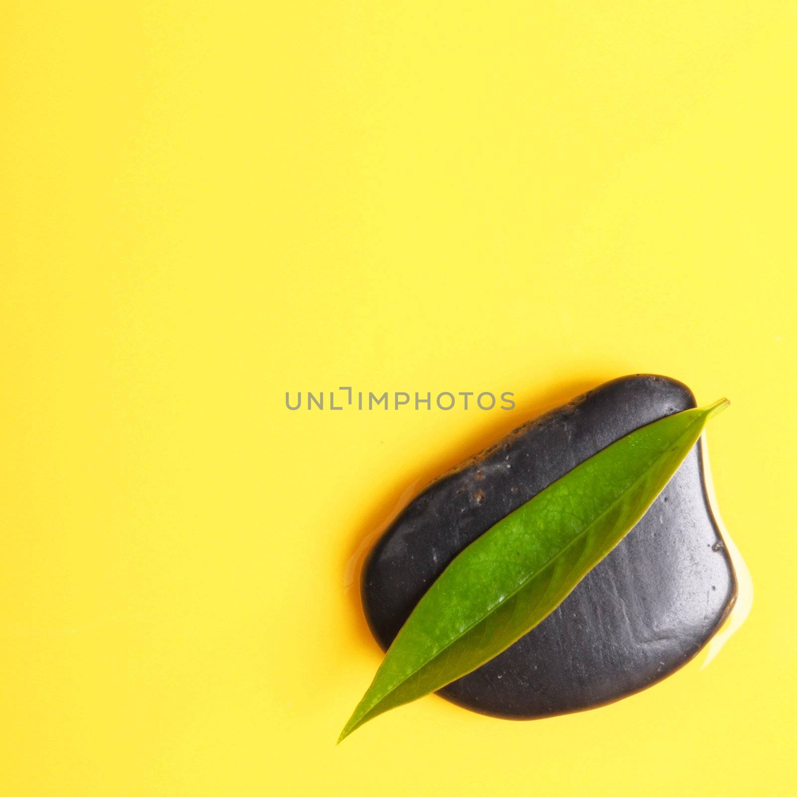 spa concept with yellow copyspace stone and green summer leaf