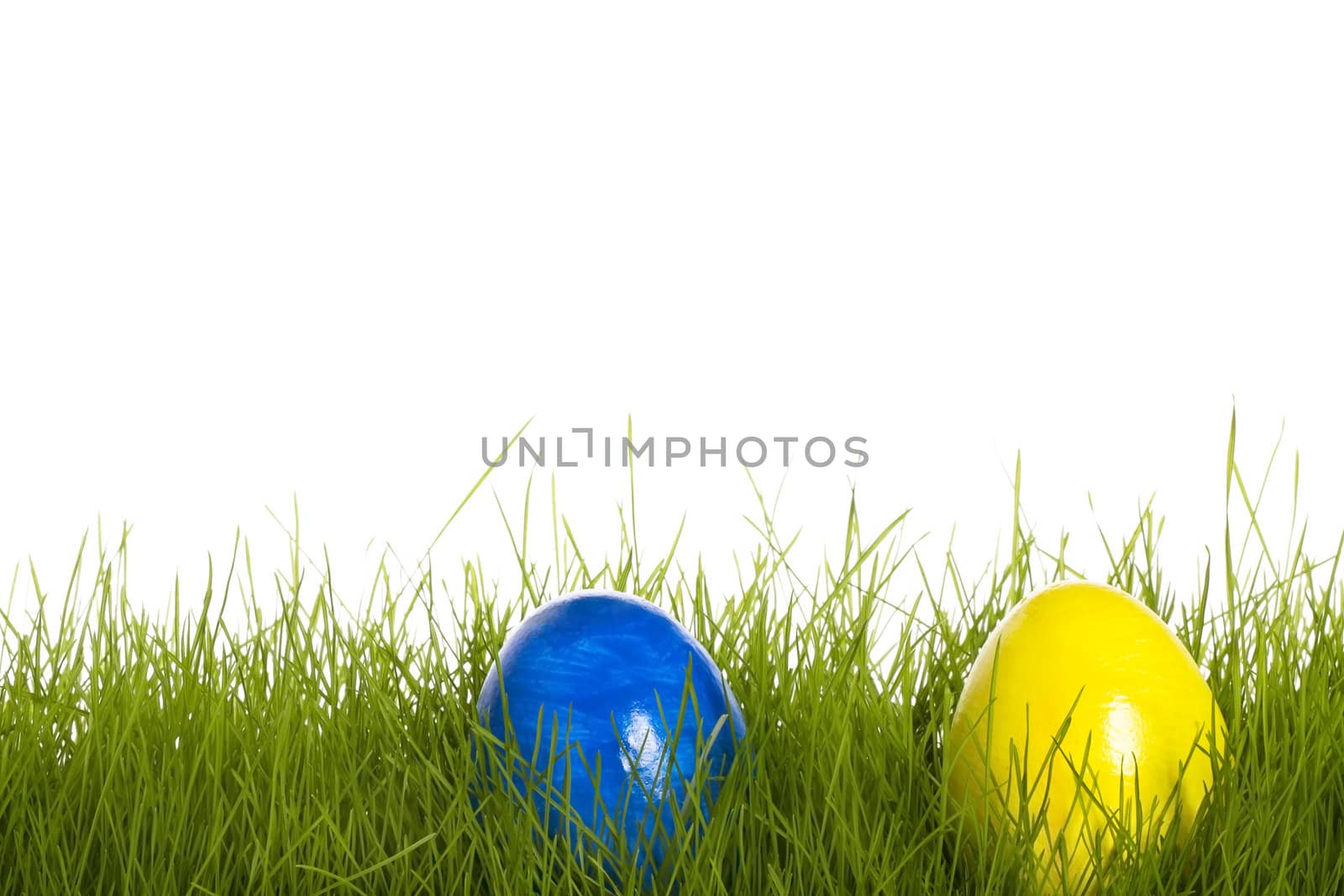 blue and yellow easter egg in grass with white background