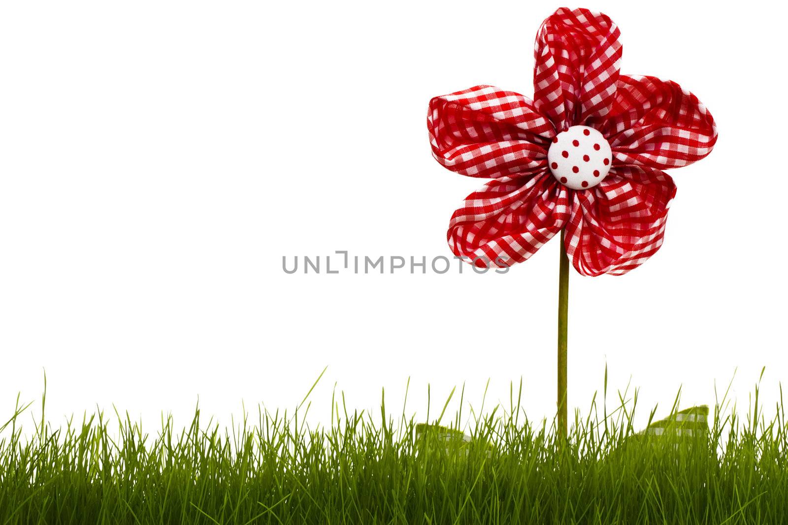 red drapery flower with grass by RobStark