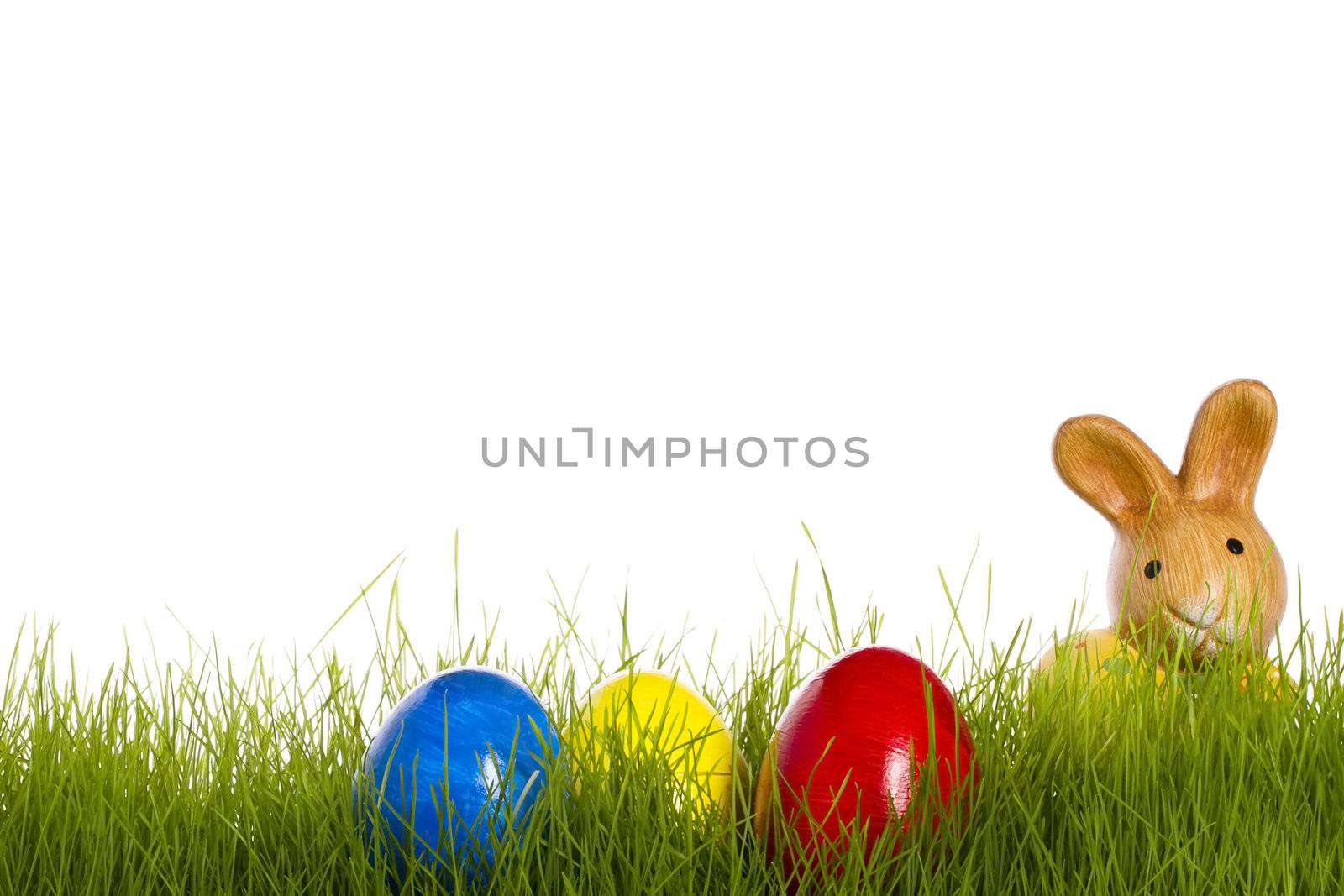 small easter bunny with easter eggs in grass with white background