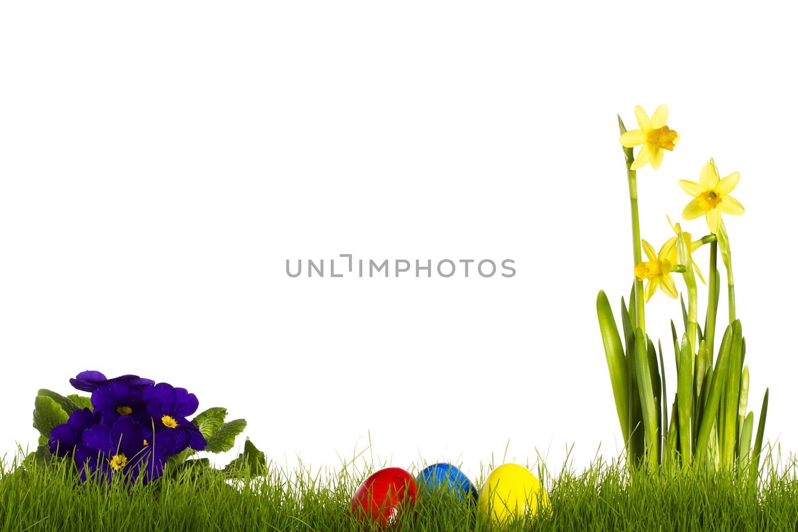 three easter eggs with purple primula and daffodil by RobStark