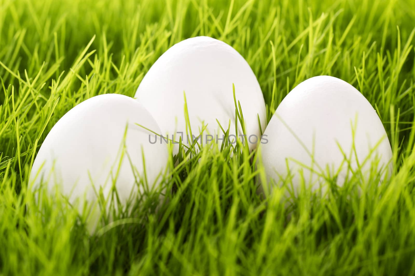 three white easter eggs in grass by RobStark