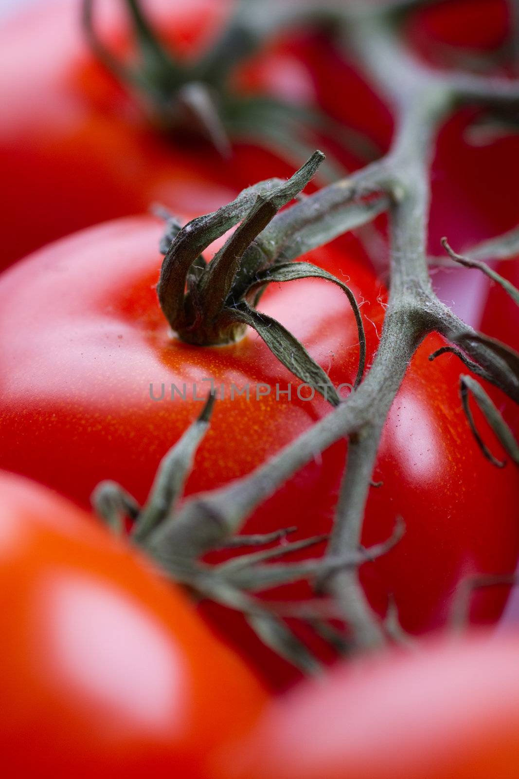 Vertical picture of fresh tomatoes with a vibrant red color.