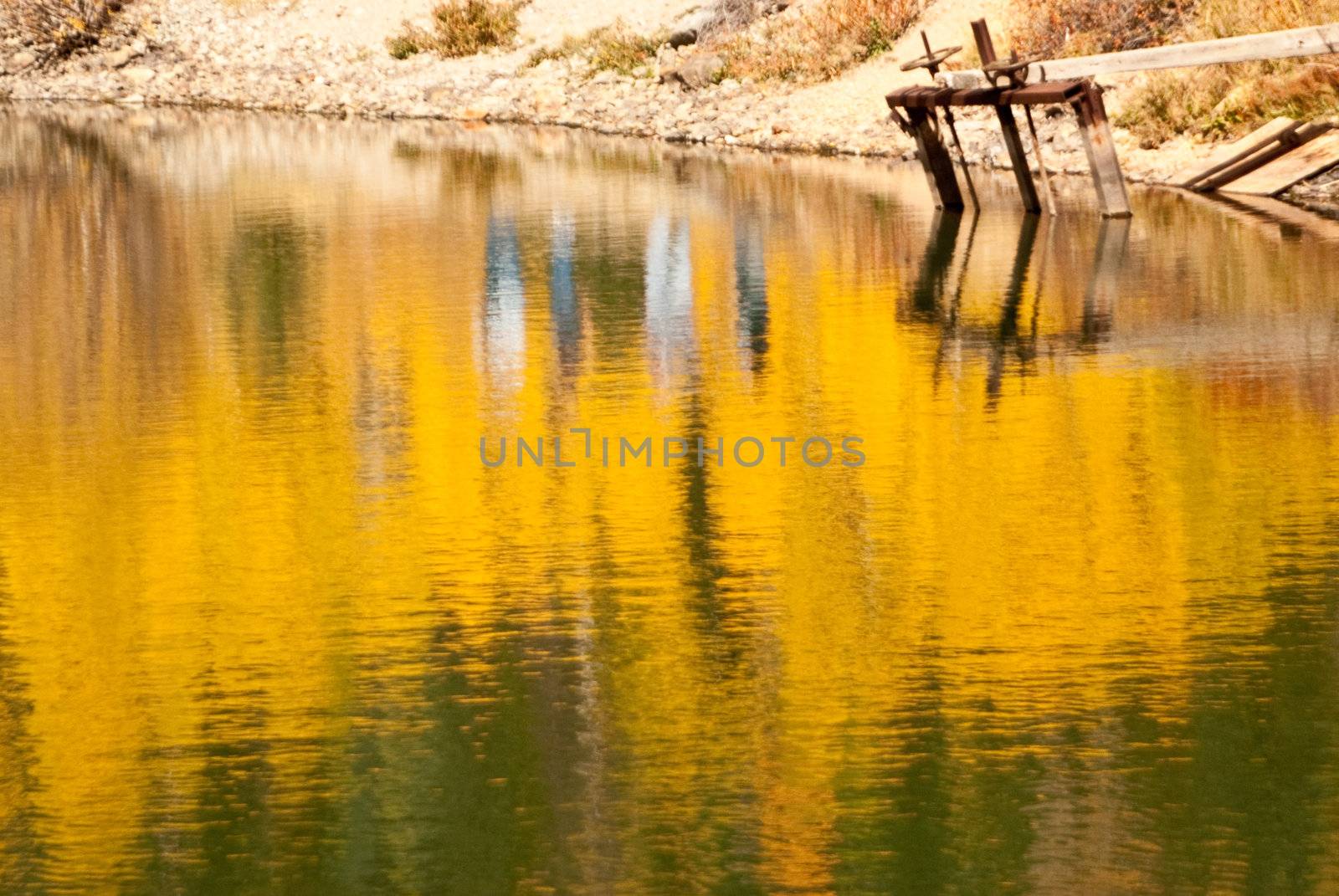 Yellow Reflection by emattil