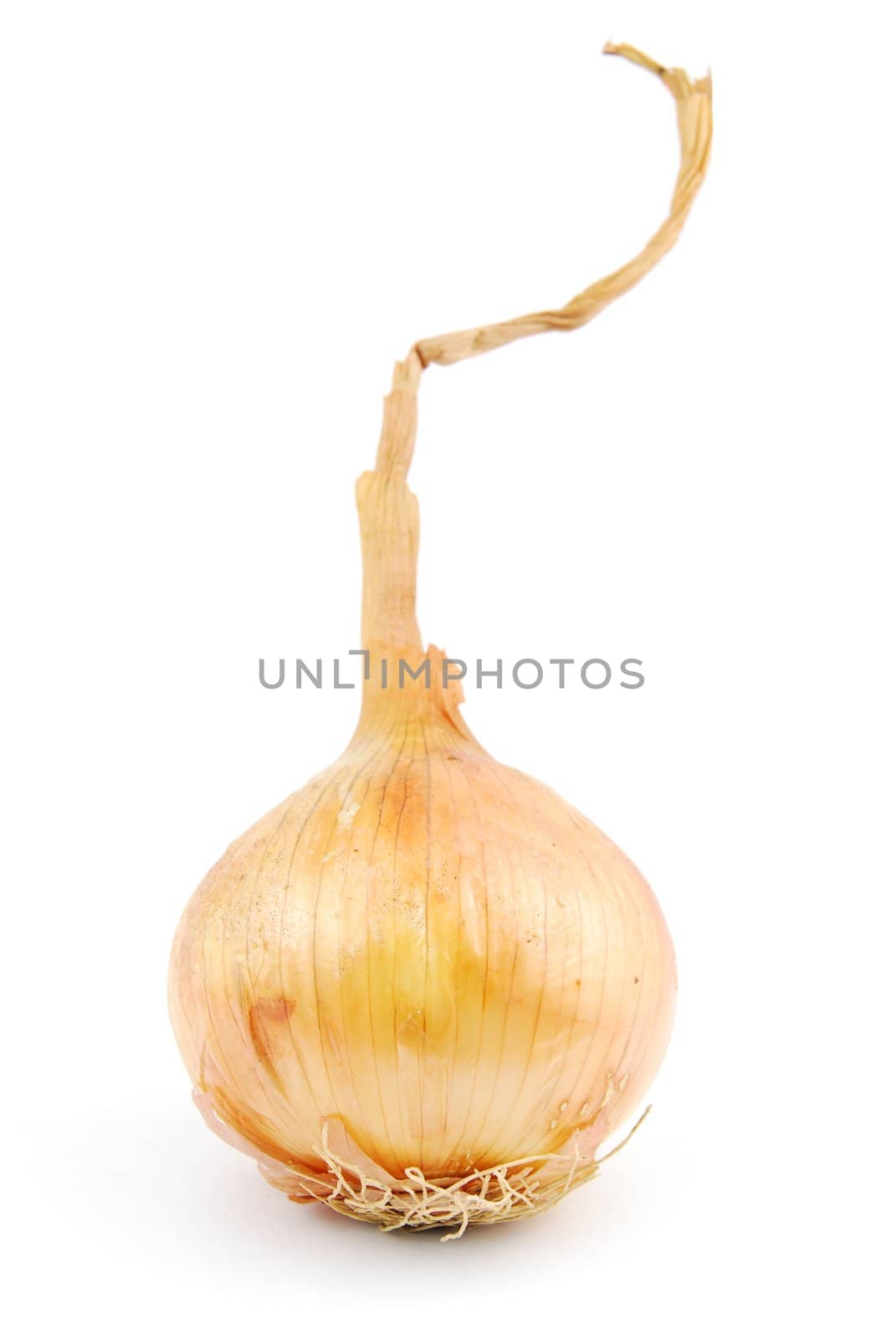 beautiful onion isolated on white background