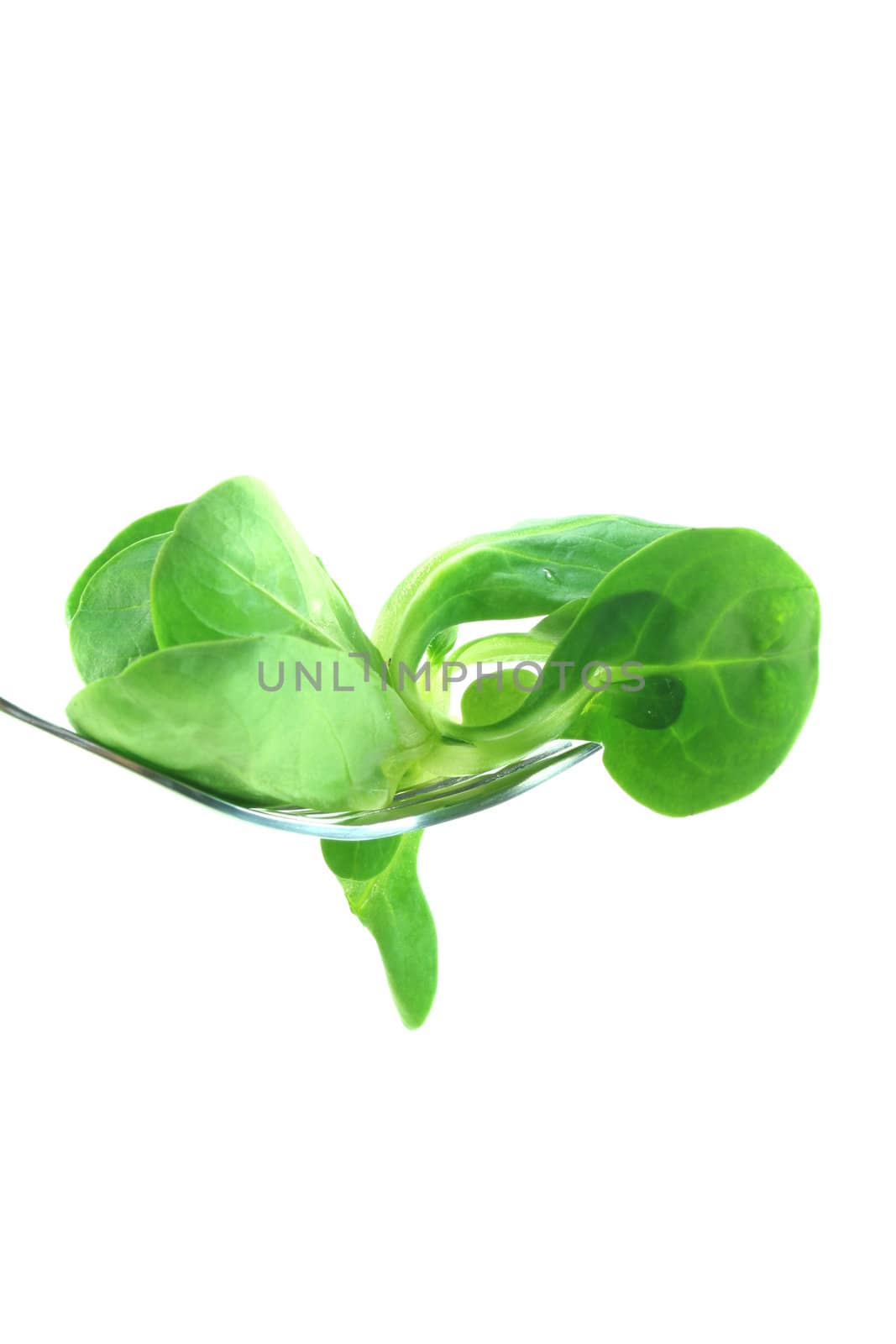 Corn salad on a fork against a white background