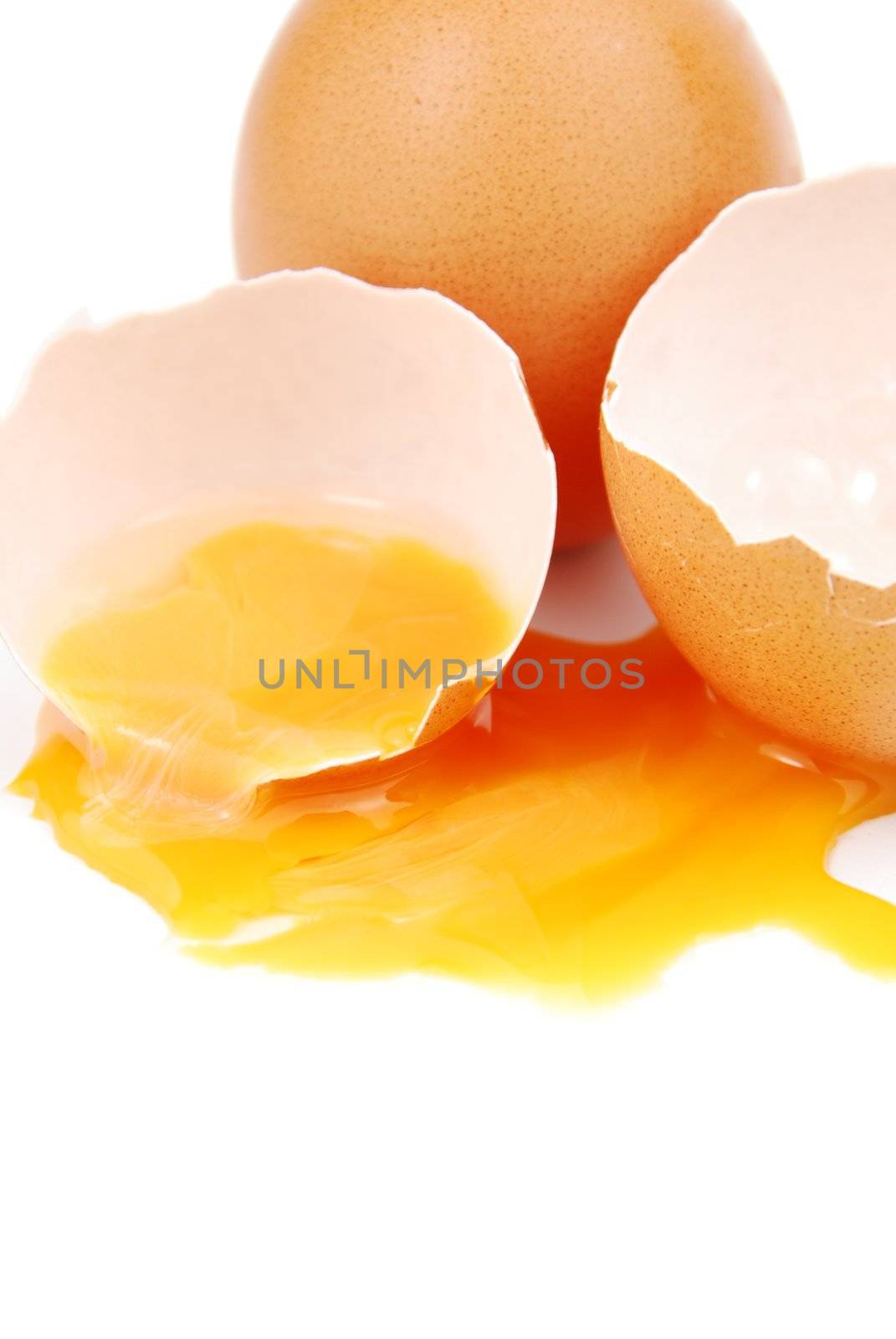 broken egg with the yolk and white oozing out isolated on white background