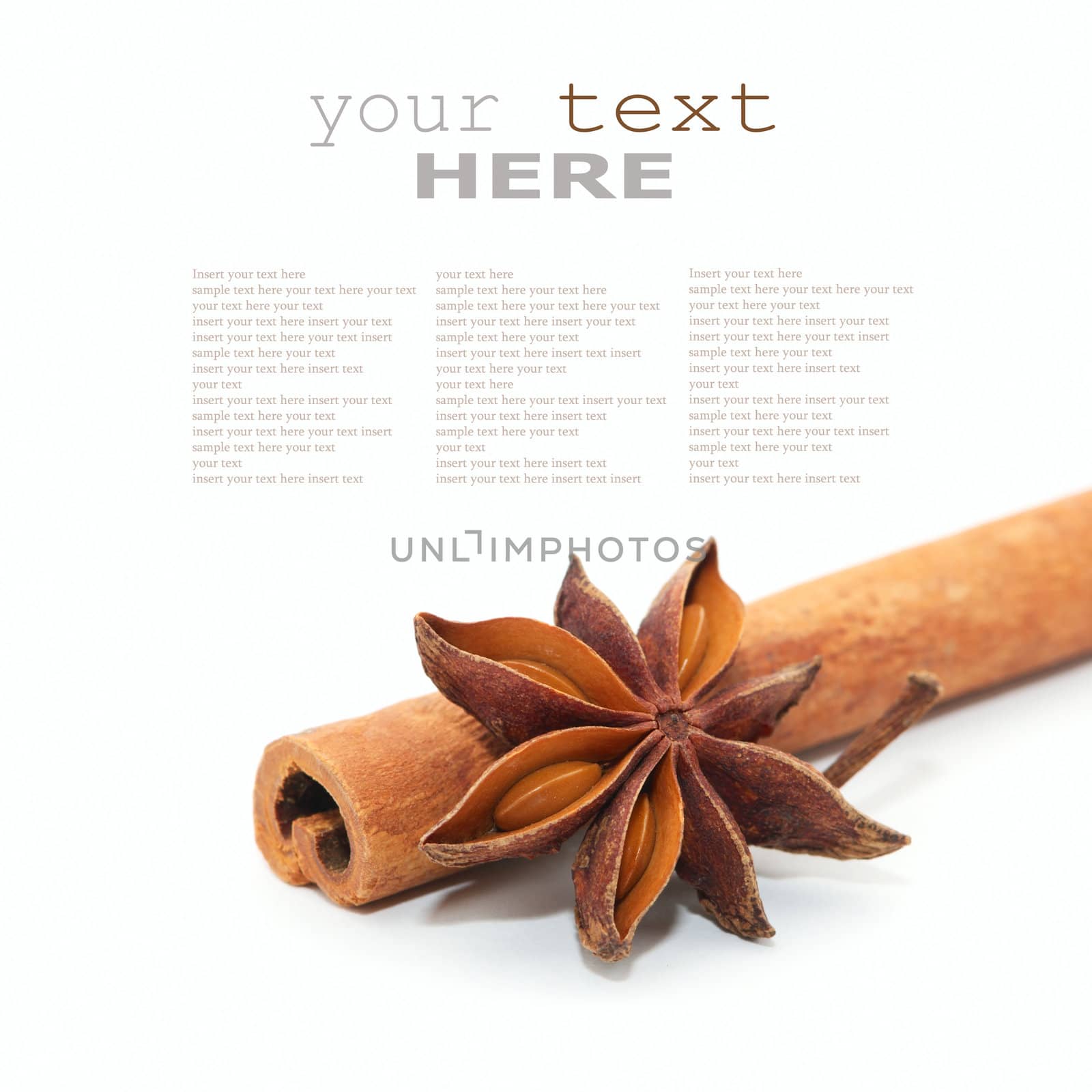 Star anise and cinnamon beer ingredients isolated on white background (with space for text)