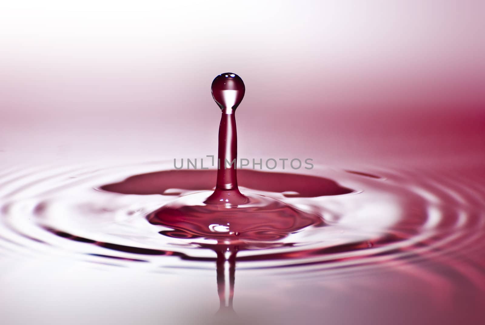 Red water environmental abstract background - red water drop splashing in clear clean water