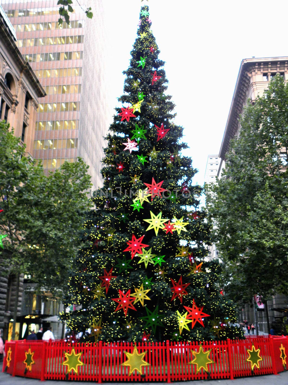 Photo presents Christmas Tree. Photo taken in Sydney.