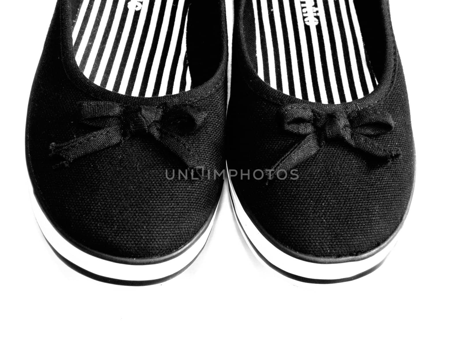 Kind of shoes - plimsoll on the white background.