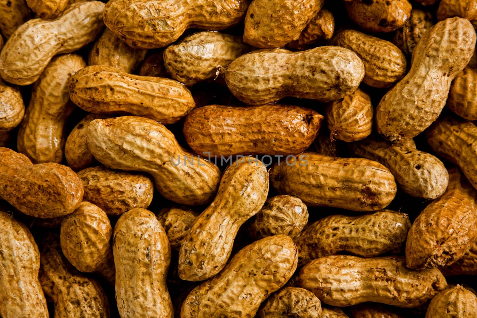 A bunch of peanuts in shells moistened with water