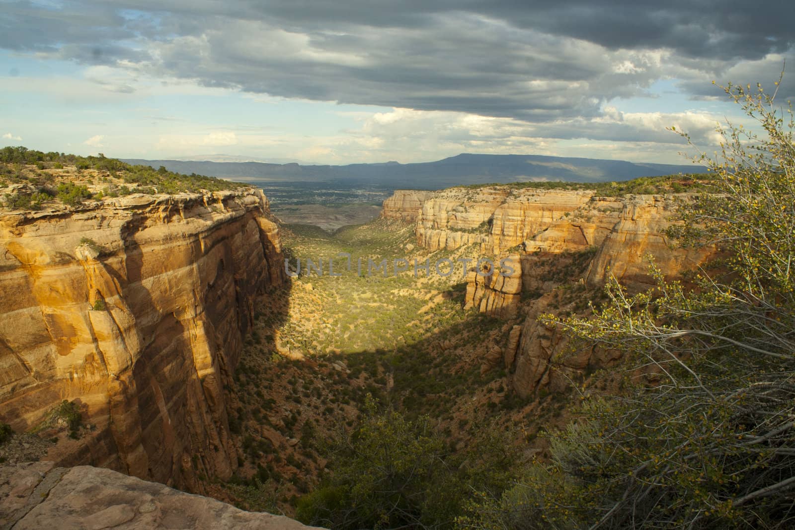 Canyon view in Colorado National Monument