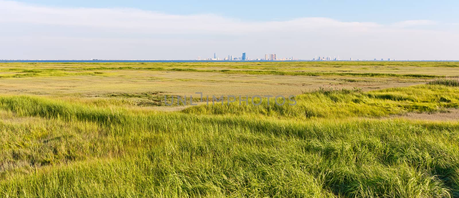 Panorama of the Atlantic City, New Jersey skyline. The foreground is a marsh with green grass (Forsythe Wildlife Refuge).