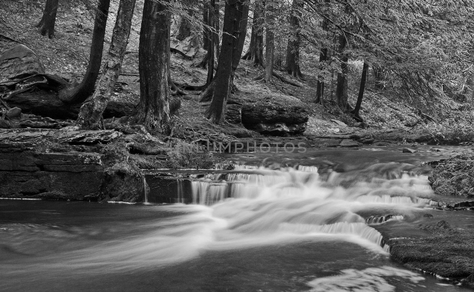 Little Falls in Black and White by sbonk
