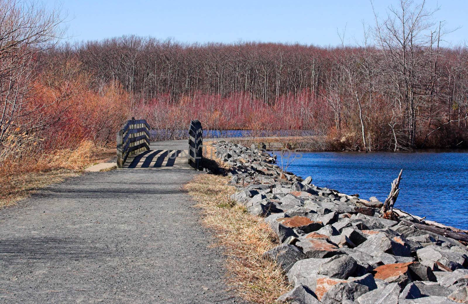 A path around Manasquan Reservoir in New Jersey during a nice winter day.