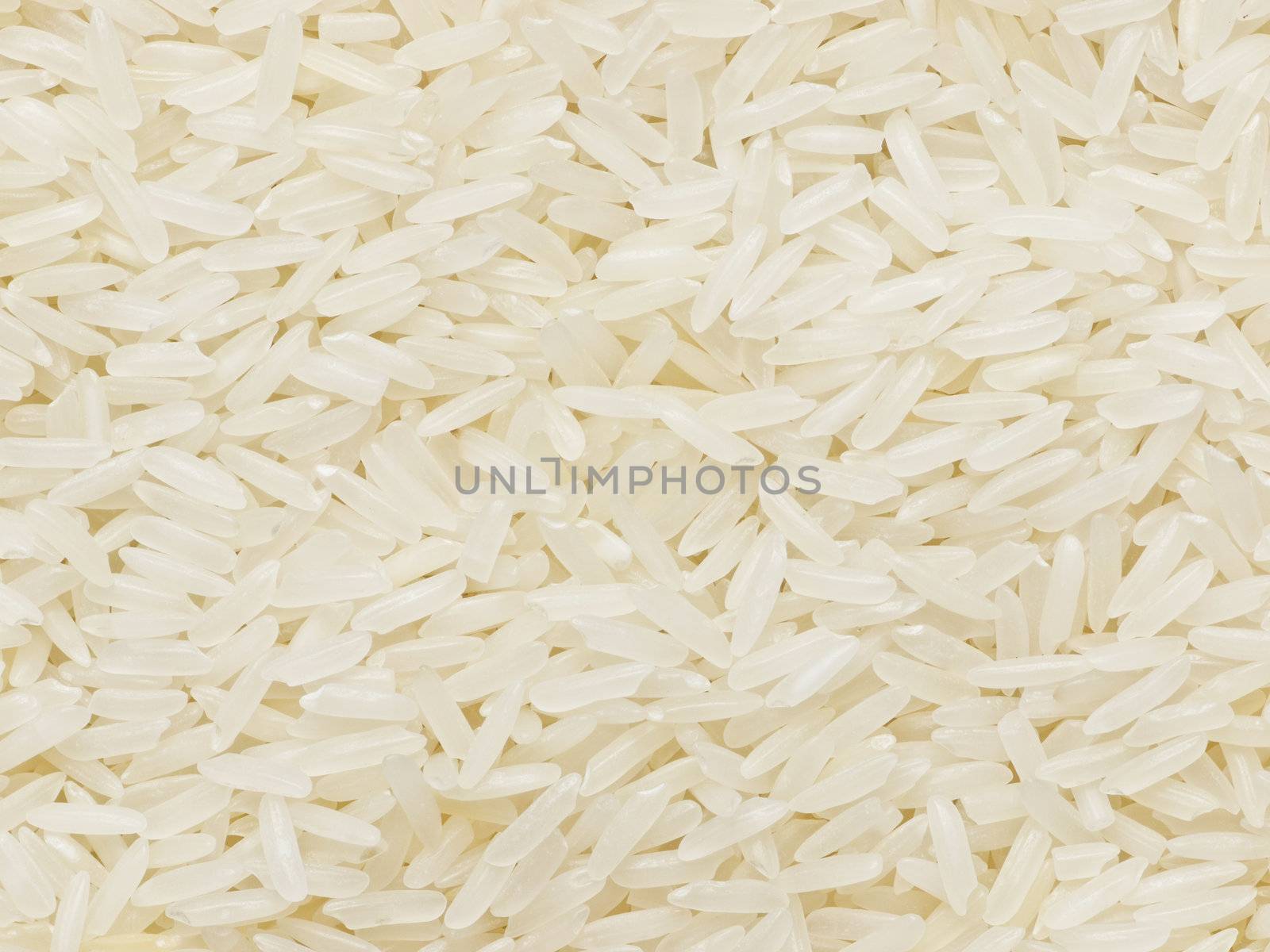 raw polished white rice by zkruger
