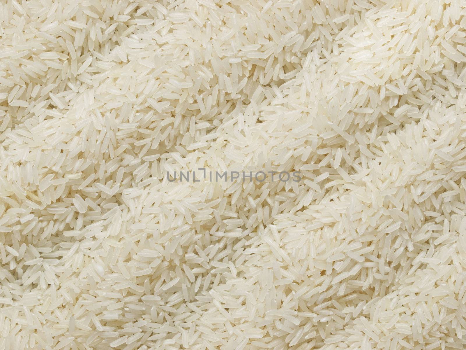 raw polished white rice by zkruger