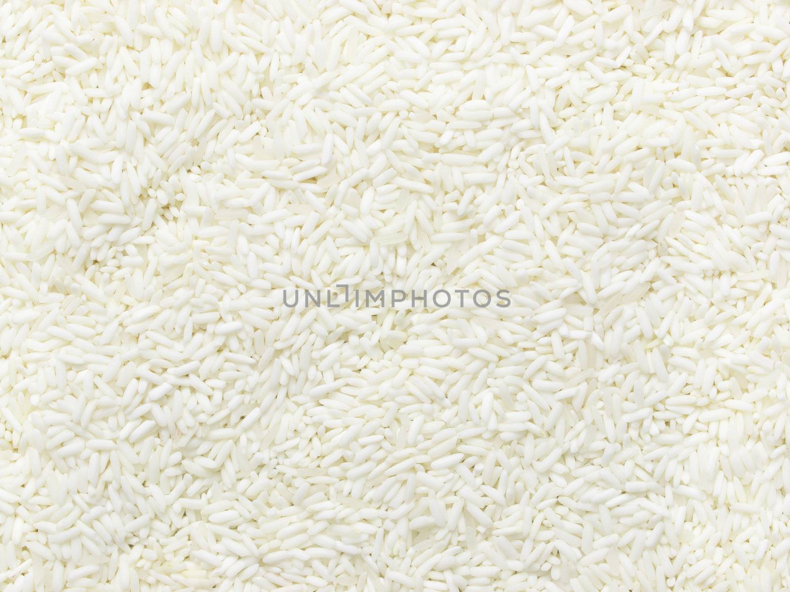 close up of raw white glutinous rice