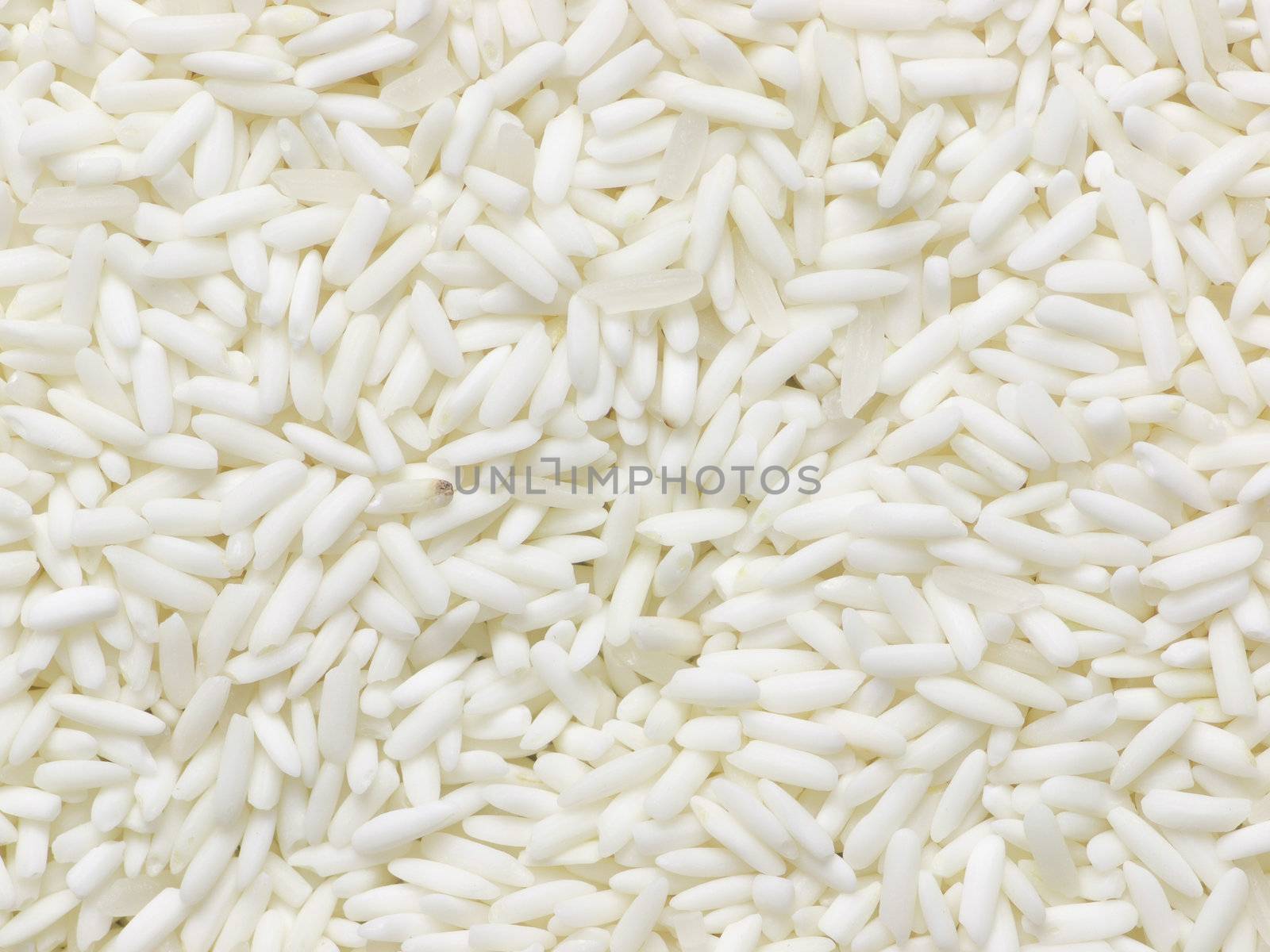 close up of raw white glutinous rice