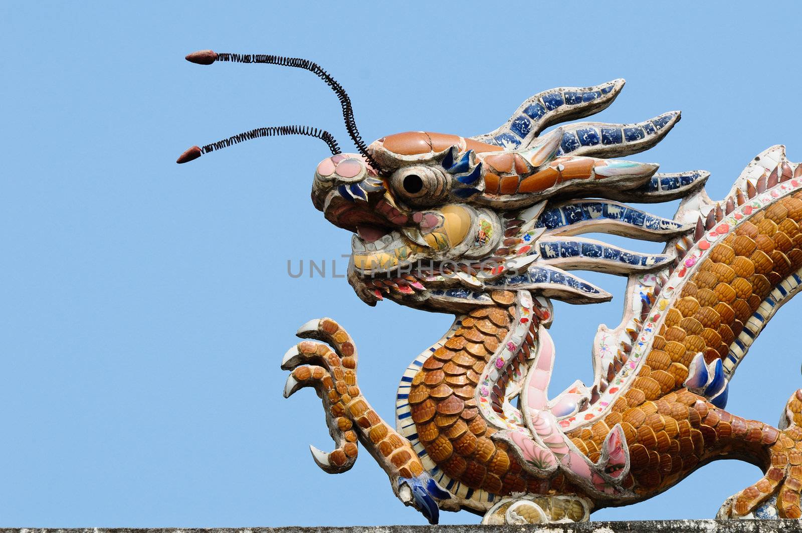 The dragon on the roof top, vietnam
