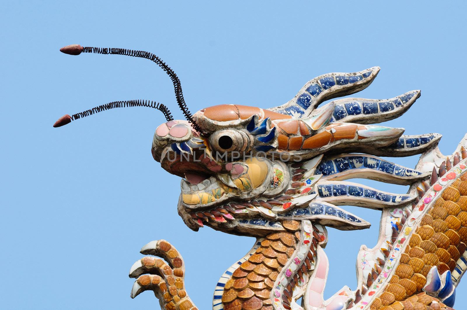 The dragon on the roof top, vietnam