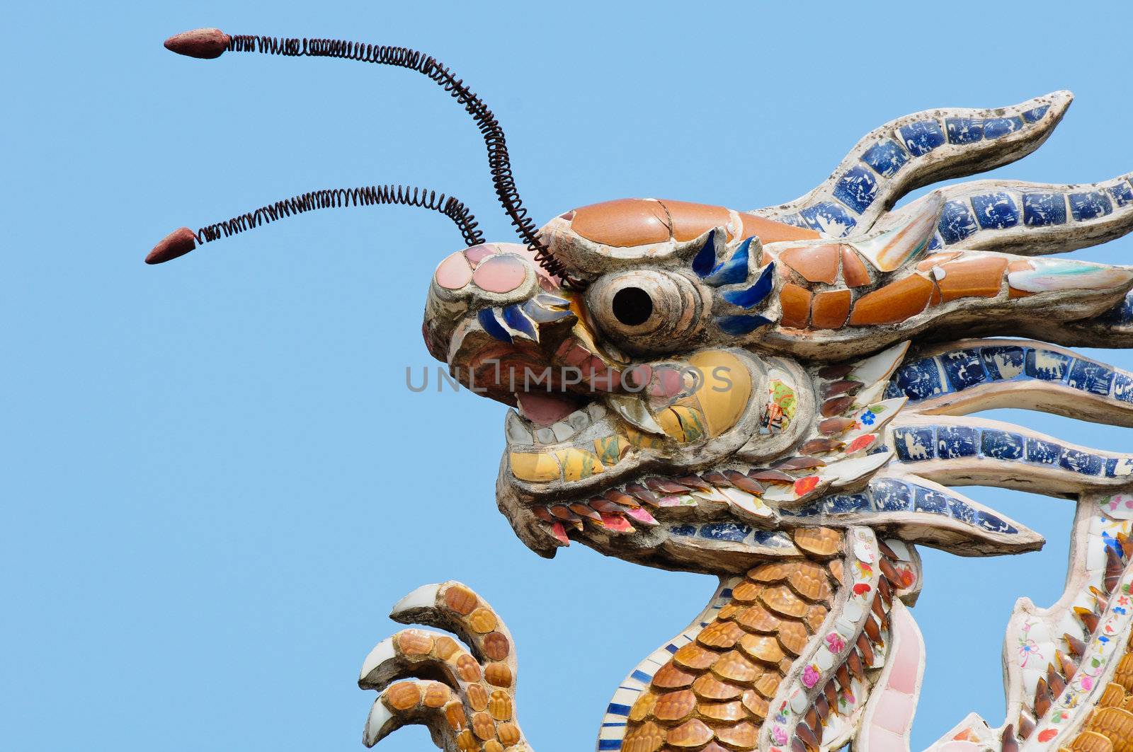 The dragon on the roof top, vietnam