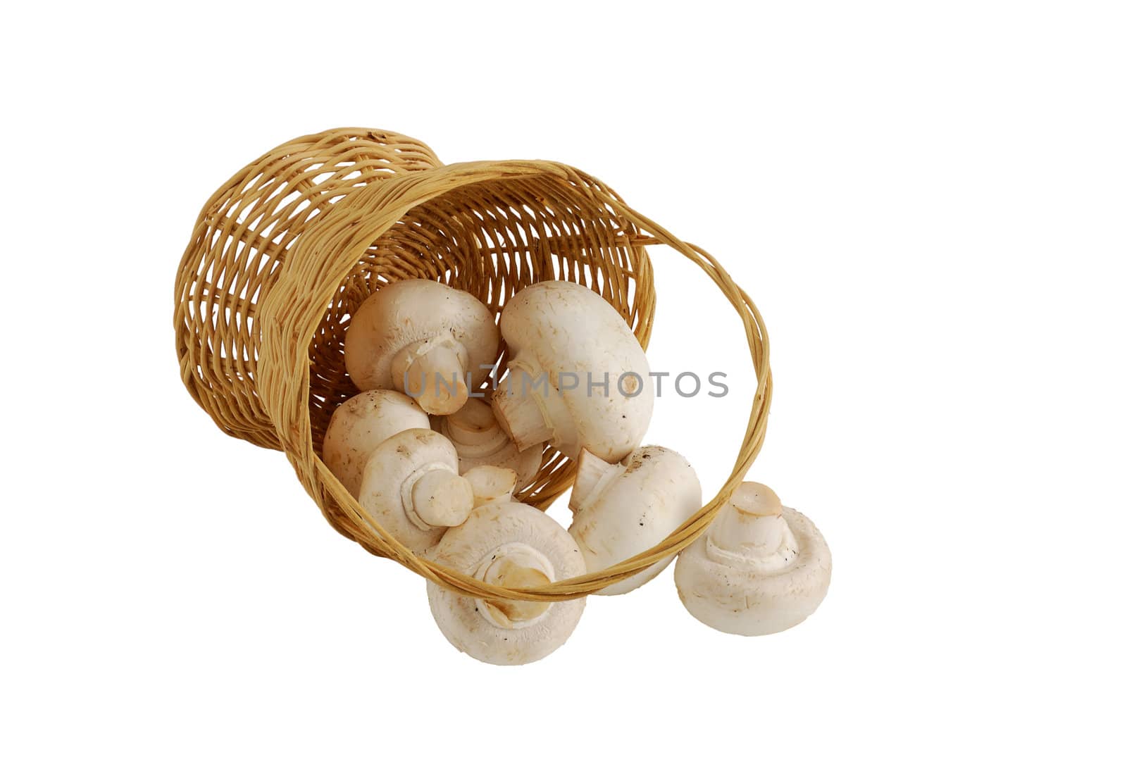 Fresh champignons spilled from small interwoven straw basket