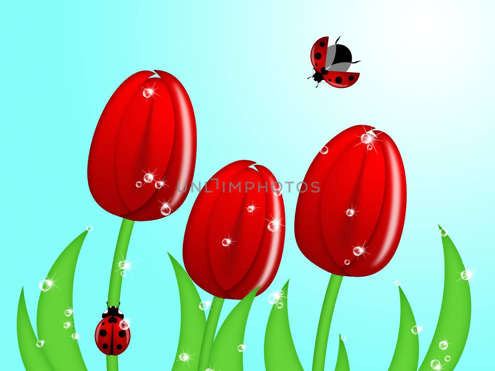 Ladybug Climbing Up Tulip Flower Stem by Davidgn