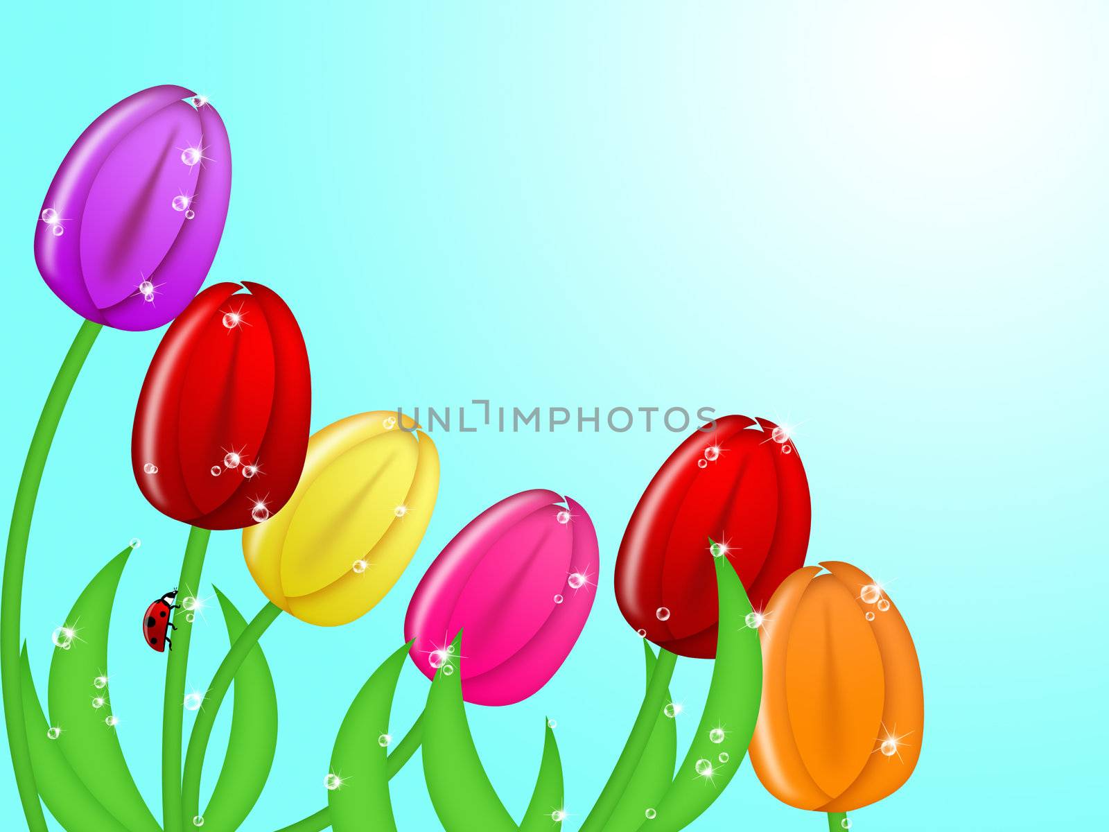 Red Ladybug Climbing Up Tulip Flower Assorted Colors Illustration