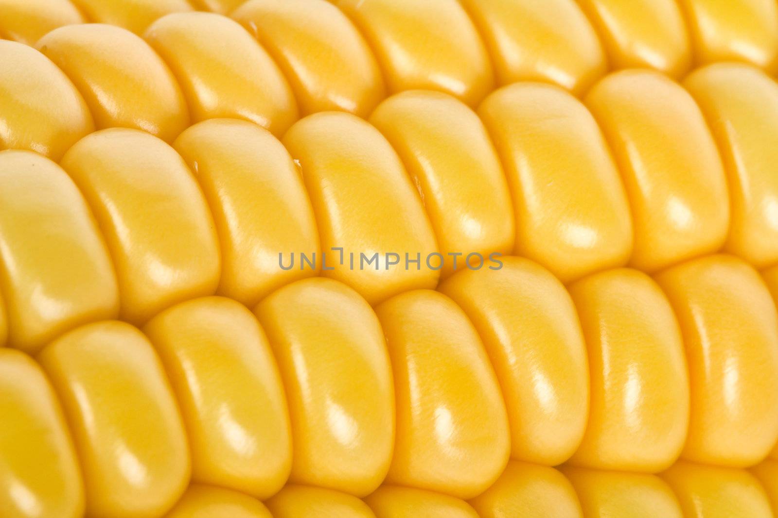 macro shot of ripe corn by Alekcey