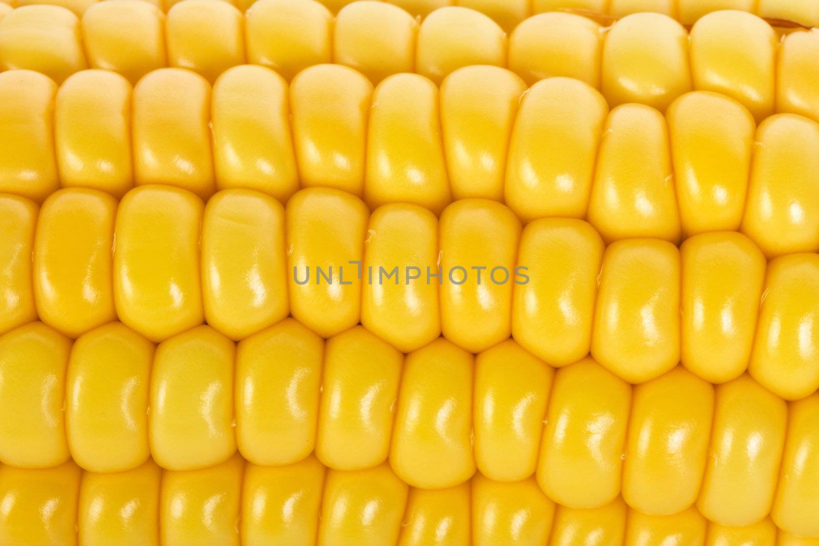 macro shot of ripe corn grains