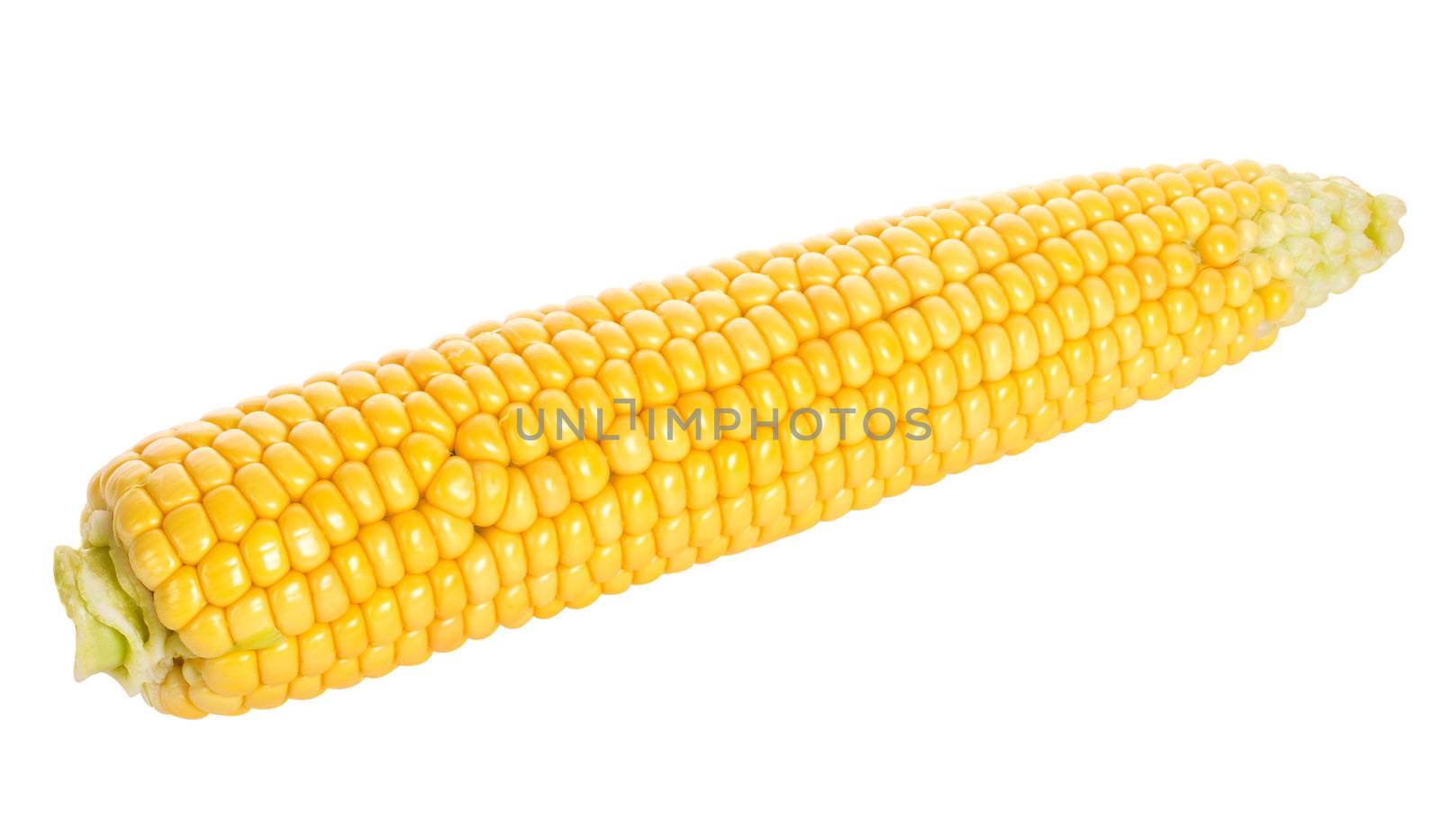 close-up ripe corn, isolated on white